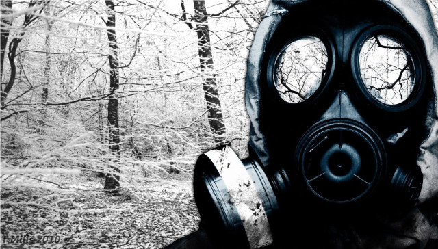 Man gas mask forest trees free wallpaper - medium preview image