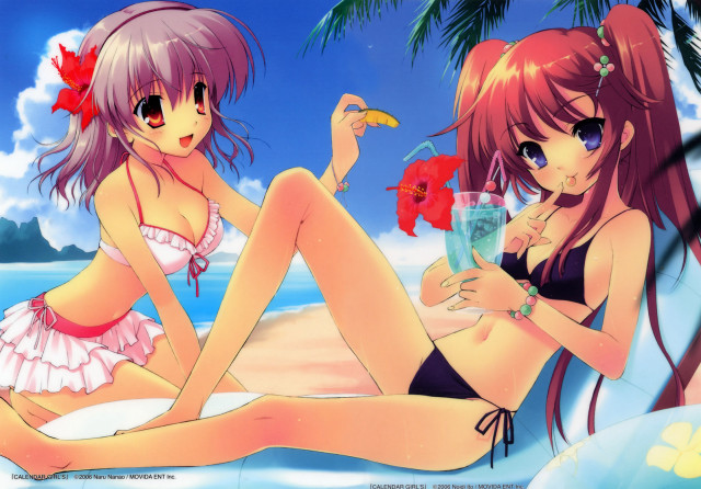 Anime girls beach bikini flower free wallpaper - medium preview image