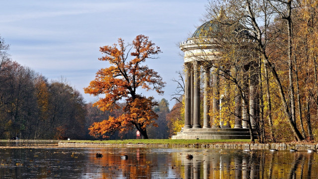 Large tree lake park tall free wallpaper - medium preview image