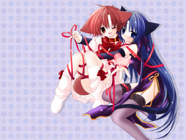 Anime girls cat ears blue free wallpaper - medium preview image
