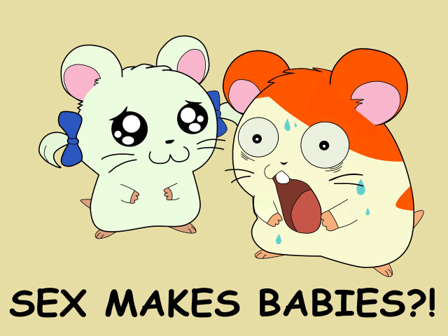 Hamster rat mouse furry cute free wallpaper - medium preview image