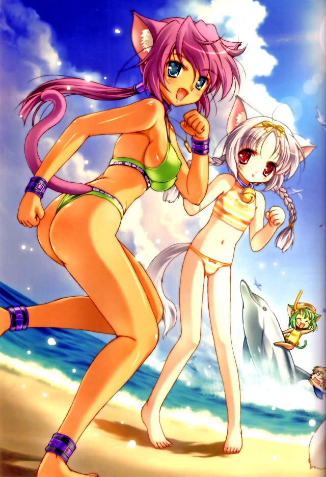Beach girls cat fish bikini free wallpaper - medium preview image