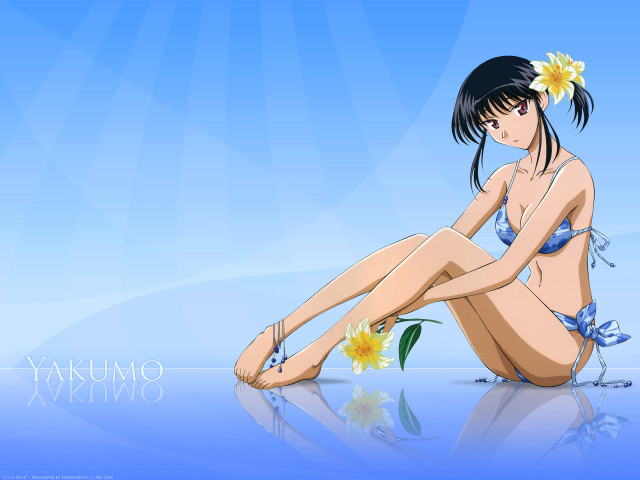 Woman flower hair blue bikini free wallpaper - medium preview image