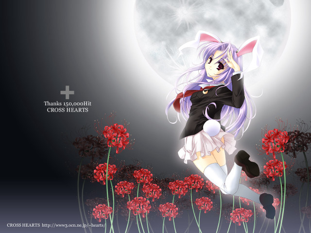 Anime girl field fullmoon flowers free wallpaper - medium preview image