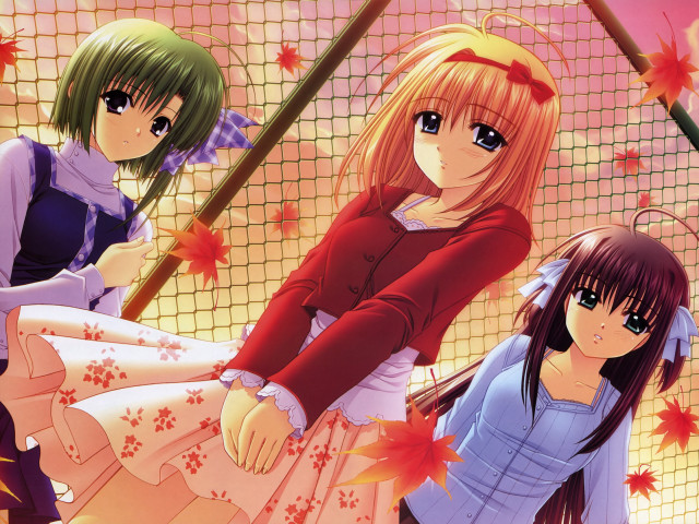 Anime girls leaves net autumn free wallpaper - medium preview image