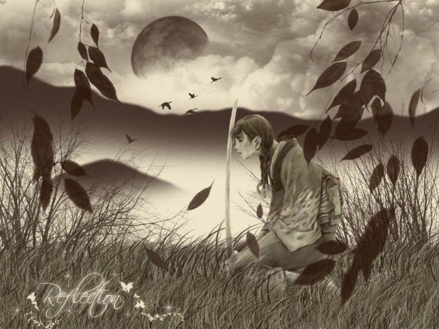 Woman kneeling field fullmoon fantasy free wallpaper - medium preview image