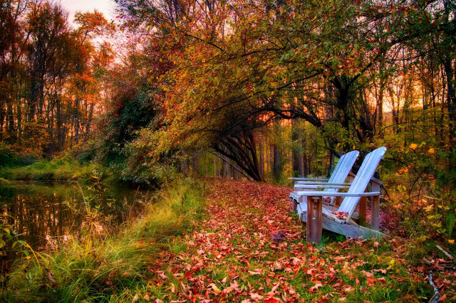 White chairs fall river autumn free wallpaper - medium preview image