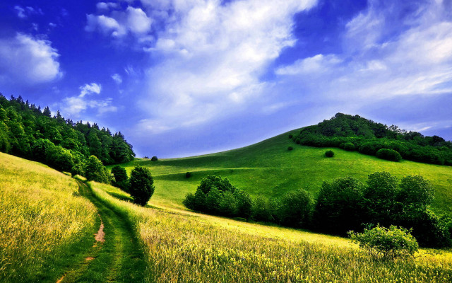 Grassy hill path trees blue free wallpaper - medium preview image