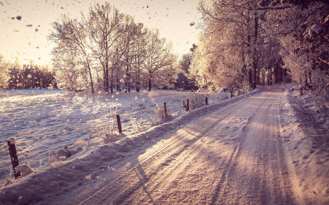 Snowy road fence trees winter free wallpaper - medium preview image