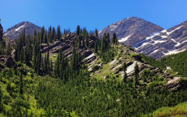 Mountain forest snow blue sky free wallpaper - medium preview image
