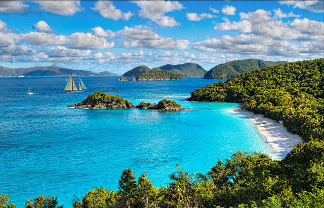 Sailboat beach forest water sky free wallpaper - medium preview image