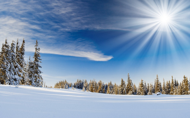 Sunny snowy day bright sun free wallpaper - medium preview image