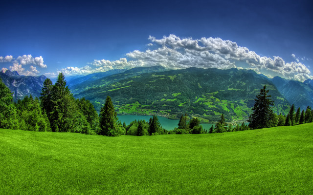 Green field trees mountains lake free wallpaper - medium preview image