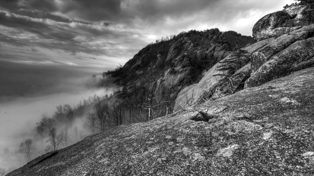 Mountain fog trees blackwhite landscape free wallpaper - medium preview image