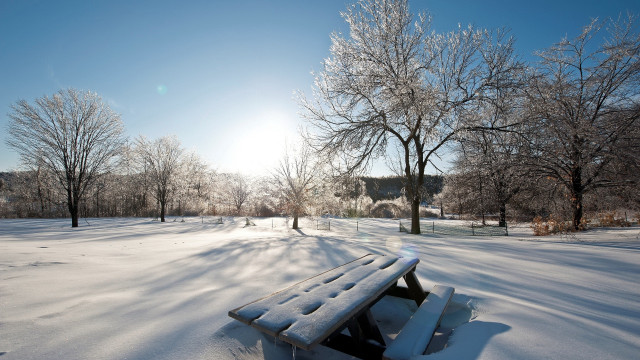 Snowy park bench trees house free wallpaper - medium preview image