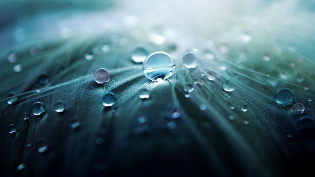 Leaf water droplets blue sky #3 free wallpaper - medium preview image