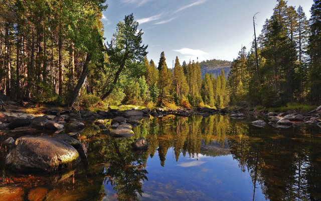 River forest rocks blue sky free wallpaper - medium preview image