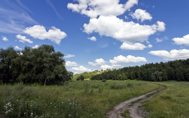 Dirt road field trees grass free wallpaper - medium preview image