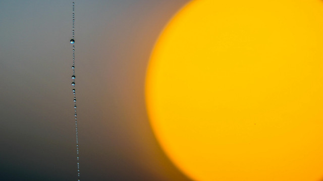 Yellow sun water droplets gray free wallpaper - medium preview image