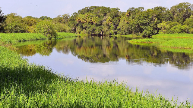 River grassy bank trees blue #2 free wallpaper - medium preview image