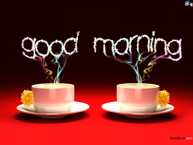 Coffee cups flowers good morning free wallpaper - medium preview image