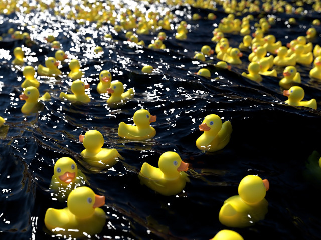Rubber ducks water row 3d free wallpaper - medium preview image