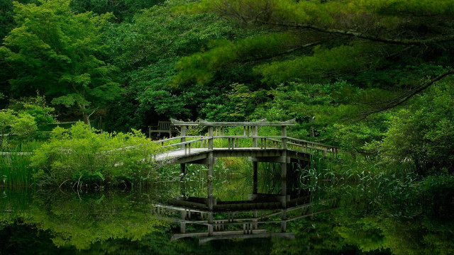 Bridge water trees bench nature free wallpaper - medium preview image