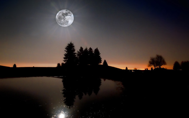 Full moon lake night trees free wallpaper - medium preview image