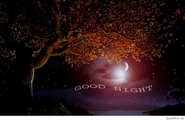 Night tree moon good night free wallpaper - medium preview image
