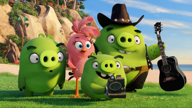 Angry birds guitar camera outdoors free wallpaper - medium preview image