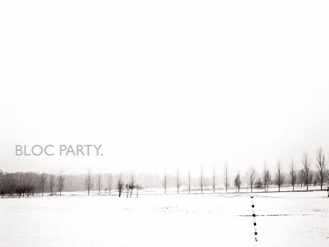 Snow covered field trees sky free wallpaper - medium preview image