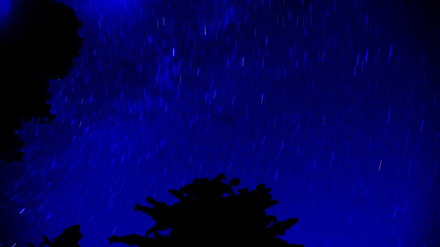 Tree starry sky blue night free wallpaper - medium preview image