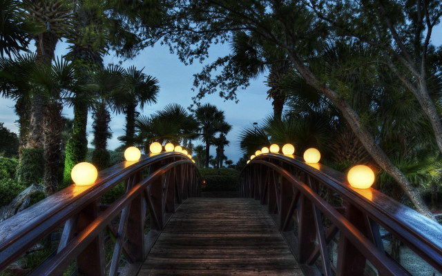 Wooden bridge lights palm trees free wallpaper - medium preview image