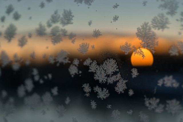Frosty window sunset trees microscopic free wallpaper - medium preview image