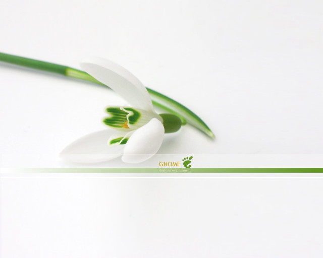 White flower green stems cloisonnism free wallpaper - medium preview image