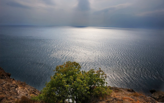 Tree hill ocean cloudy sunbeams free wallpaper - medium preview image