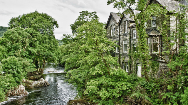 River forest clocktower bridge garden free wallpaper - medium preview image