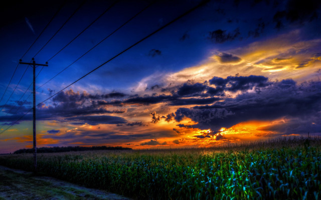 Cornfield sunset cloudy sky powerlines free wallpaper - medium preview image