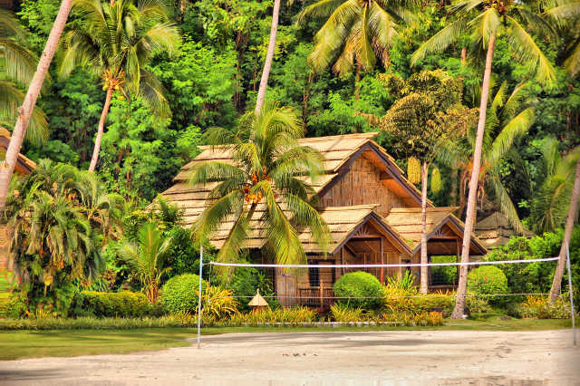 Beach volleyball court house palm free wallpaper - medium preview image