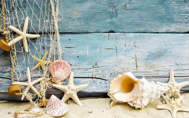 Sea shells beach net wooden free wallpaper - medium preview image