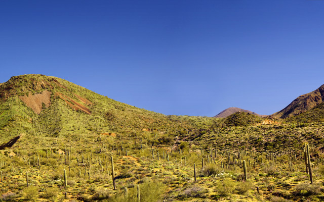 Mountain trees bushes cityscape sky free wallpaper - medium preview image