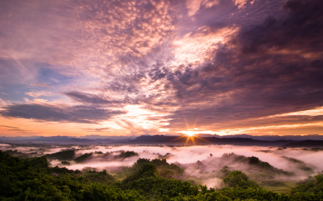 Sunset forest clouds trees sun free wallpaper - medium preview image