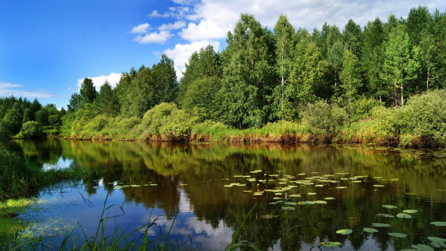 Lake trees water lilies clouds #2 free wallpaper - medium preview image