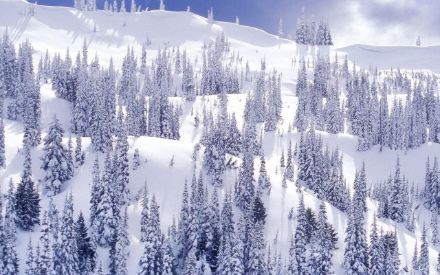 Snow mountain trees blue sky #2 free wallpaper - medium preview image