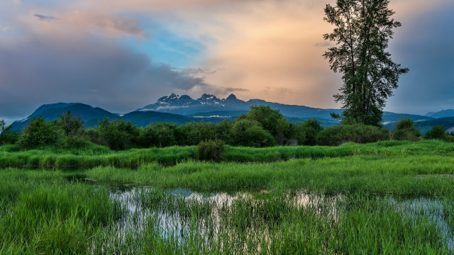 Lake mountains sunset green grass free wallpaper - medium preview image