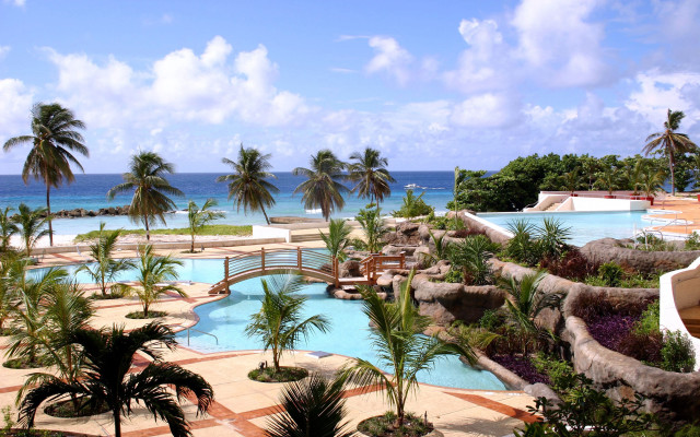 Resort pool beach palm trees free wallpaper - medium preview image