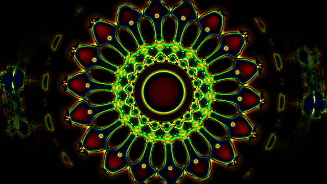 Colorful flower black background red free wallpaper - medium preview image