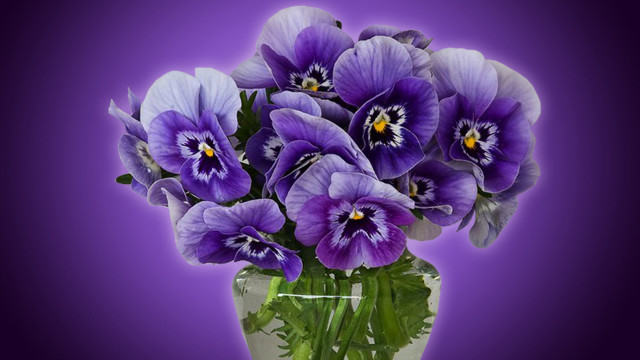 Purple flower vase gradient digital free wallpaper - medium preview image