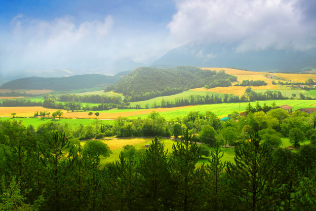 Alén diviš valley trees mountains free wallpaper - medium preview image