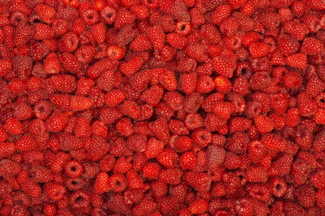 Raspberry pile red background food free wallpaper - medium preview image